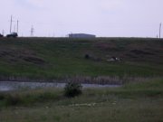 SDC10101_изменить размер.JPG