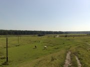 28062009018.jpg
