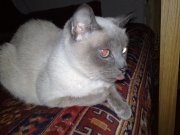 29062009024.jpg