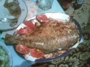 29062009(001).JPG