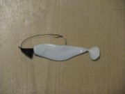 IMG_0743.jpg