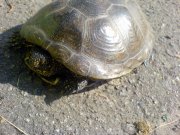 DSC00846.jpg