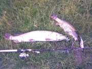 08072009.jpg