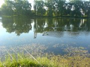 DSC02806.JPG