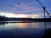 PIC-0110.jpg