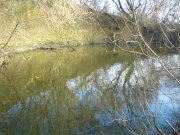 DSC00043.JPG