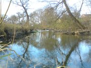 DSC00038.JPG