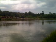 IMG_0316.JPG