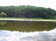 DSC03467.jpg