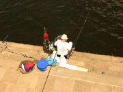 IMG_3353.jpg