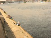 IMG_3355.jpg