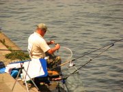 IMG_3356.jpg