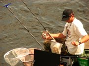 IMG_3375.jpg