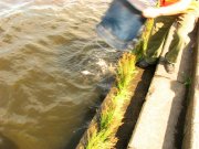 IMG_3411.jpg