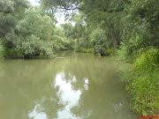 DSC00189.JPG