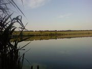 PIC-0117.jpg