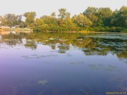 IMAG0143.jpg