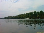 IMAG0152.jpg