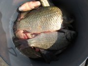 IMG_6874.jpg