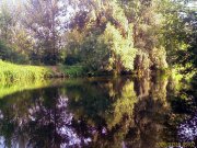 IMAGE_672.jpg