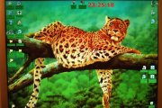 DSCF1259.JPG