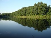 DSC04668.jpg