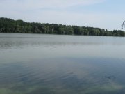 IMG_2101.jpg