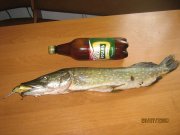 IMG_2866.jpg