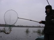 905436.jpg