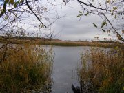 PB020075.JPG