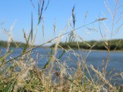 DSCN6978.JPG