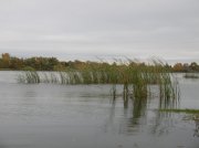 DSCN7149.jpg
