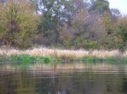 DSCN7152.jpg