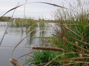 DSCN7162.jpg