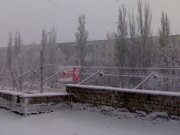 11112007267.jpg