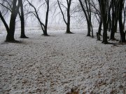 DSCN7537_изменить размер.JPG