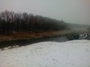 PIC-0024.jpg