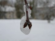 DSCN7605_изменить размер.JPG