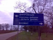 10112007217.jpg