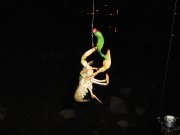 IMG_0287.jpg