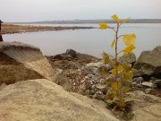 PIC-0033.jpg