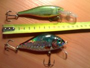 20112007296.jpg