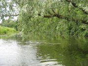 15.07.2007 039.jpg
