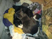 DSC00678.JPG