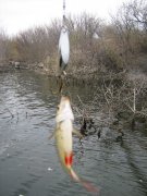25 Ноября 2007 015.jpg