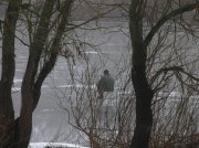 DSCN7918_изменить размер.jpg