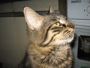 IMG_1335.JPG