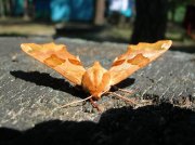 DSCN62012_изменить размер.JPG