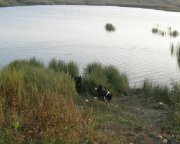 DSCN1080_cr.jpg