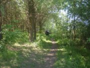 Image00002.jpg